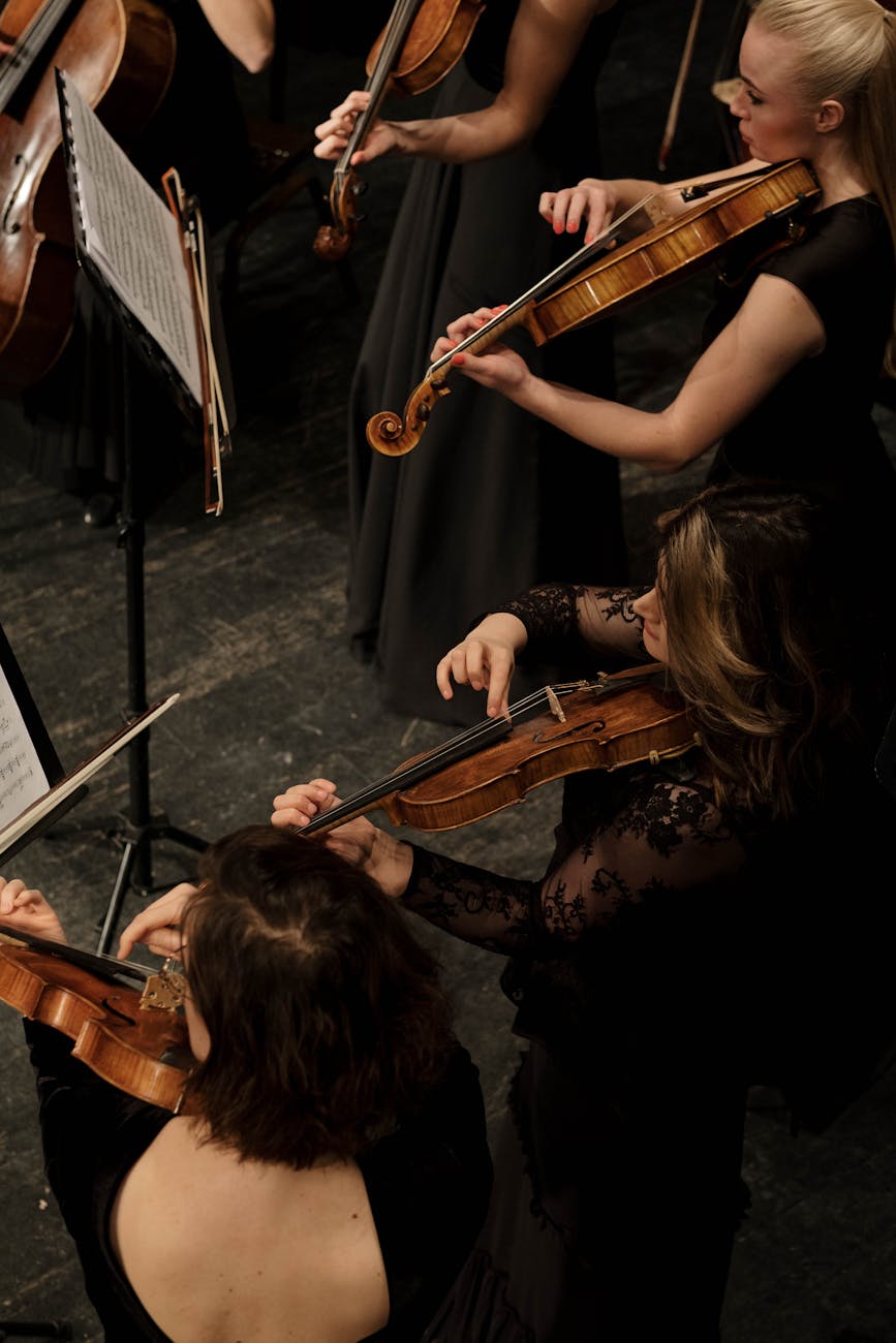 Top-view of female violinists in black dresses performing in an orchestra.