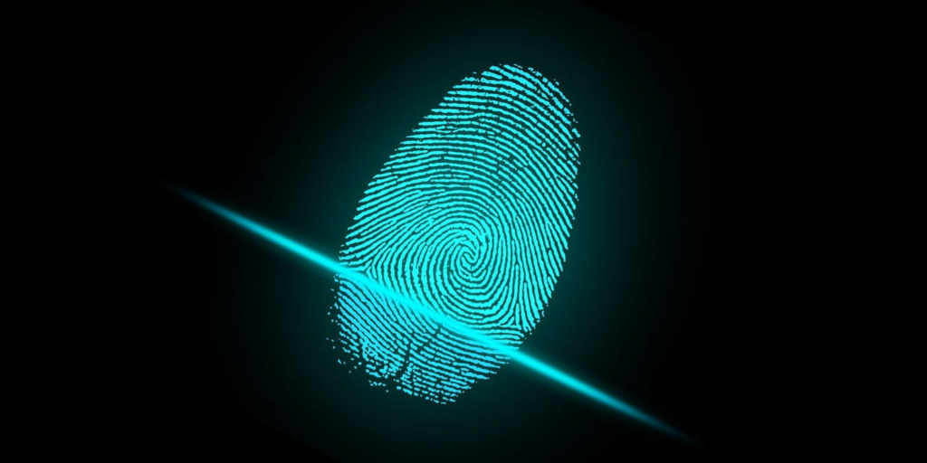 The Future of Authentication Biometrics and Passwordless Security